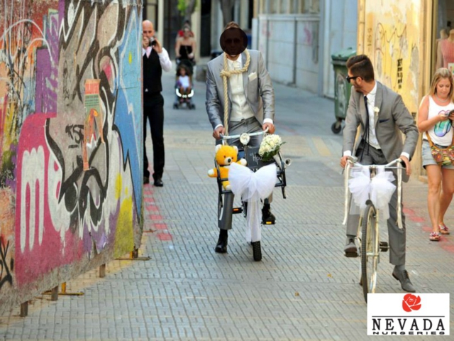 bikes_800x600c_640x480