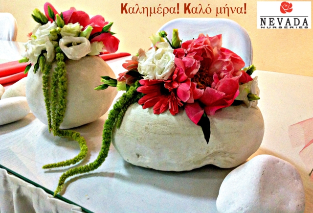 kalo_mina_640x435