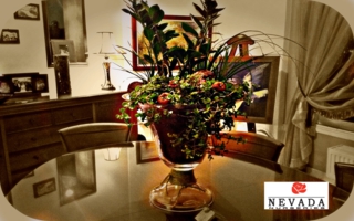 vase_fitemeno_320x200